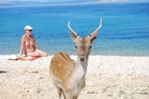 13-wonderful-nudists-trip